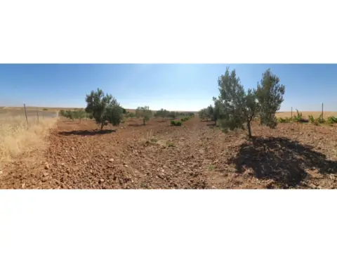 Finca rústica en El Viso de San Juan