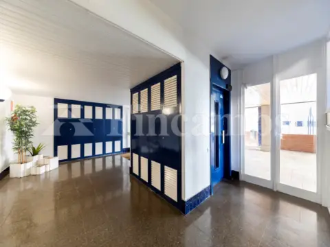 Piso en Carrer de l'Escola Pia