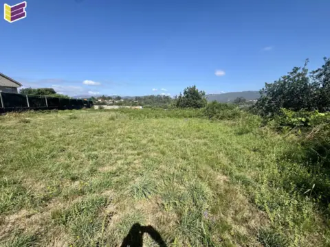 Terreno en calle Pereira