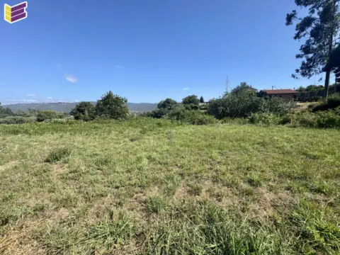 Terreno en calle Pereira