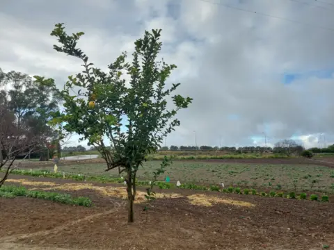 Finca rústica en Norte