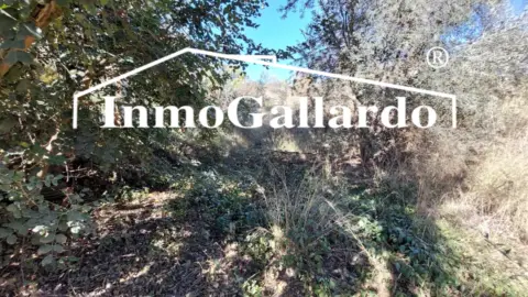 Terreno en El Candado-Camino de Olías-Camino de los Montes