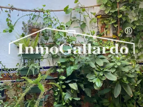 Chalet adosado en Capuchinos-La Goleta-El Molinillo-Segalerva