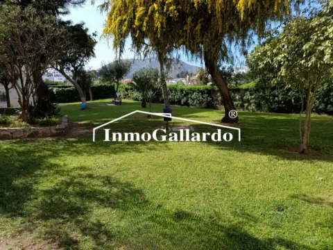 Estudio en calle de los Hermanos Álvarez Quintero