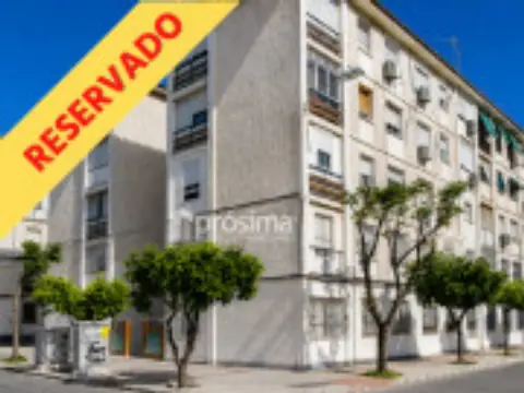 Piso en Plaza de Acinipo