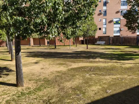 Piso en Avenida de Ramón y Cajal, 1