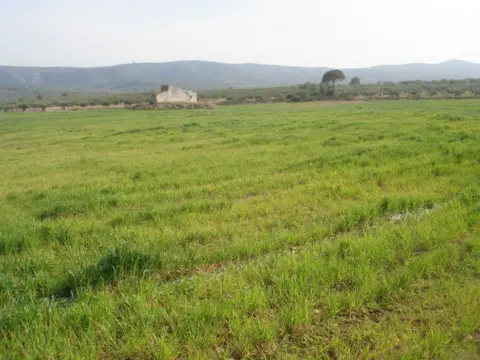 Finca rústica en Godall