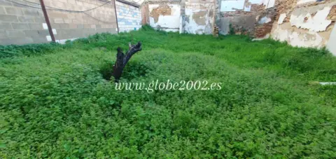 Terreno en Manuel de Falla