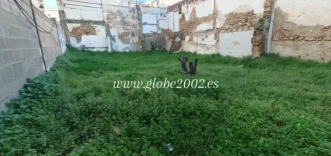 Terreno en Manuel de Falla