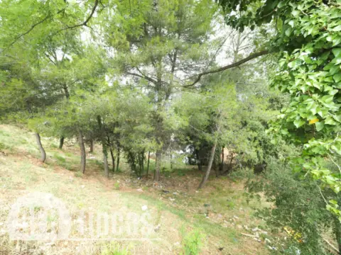 Terreno en Carrer del Falciot