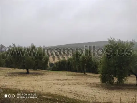 Finca rústica en calle Termino de Montilla