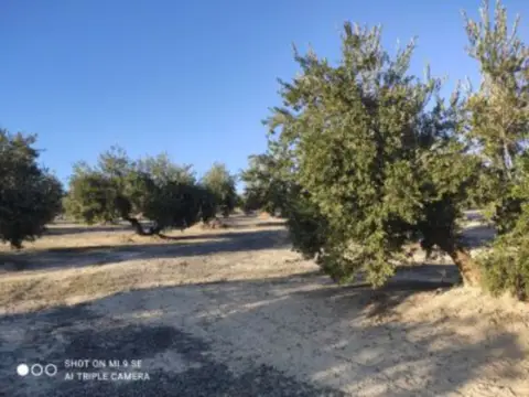 Finca rústica en calle Termino de Luque