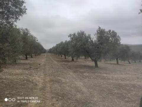 Finca rústica en calle Termino de Castro del Rio