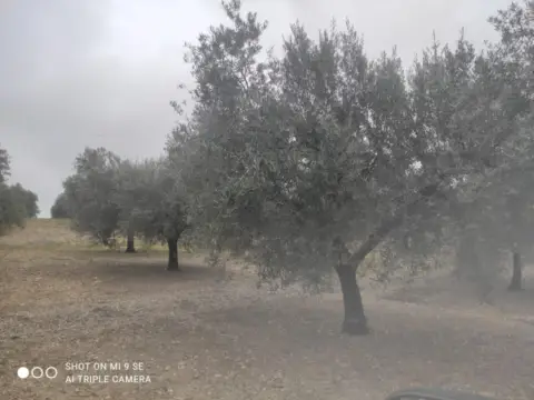 Finca rústica en calle Termino de Castro del Rio