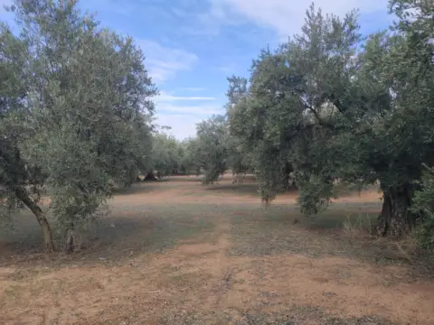 Finca rústica en calle Termino de Luque