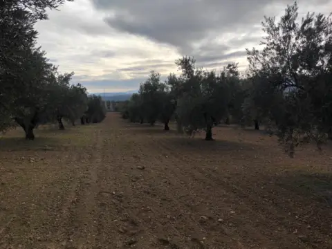 Finca rústica en calle Termino de Luque