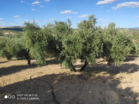 Finca rústica en Fuentidueña