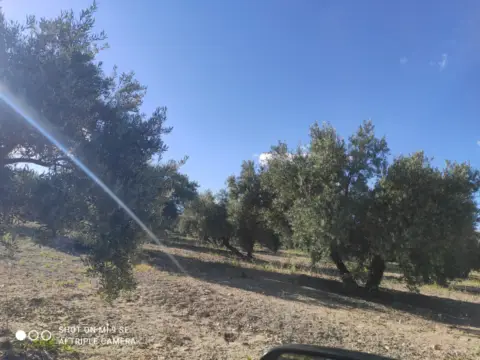 Finca rústica en Fuentidueña