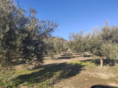 Finca rústica en calle de Salvador Muñoz