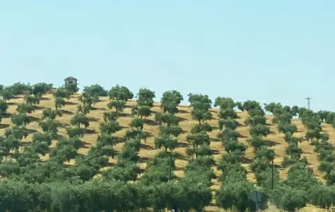 Finca rústica en Carretera de Castro del Río