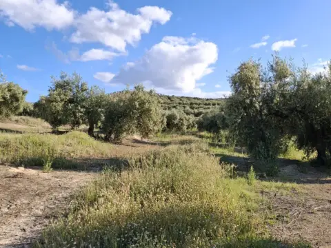 Finca rústica en calle Doncellar