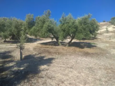 Finca rústica en calle de Baena