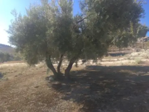 Finca rústica en calle de Baena