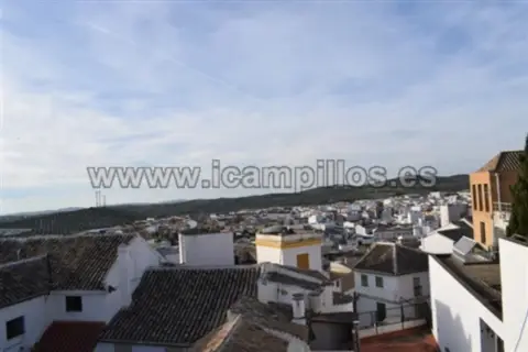 Piso en Ayuntamiento