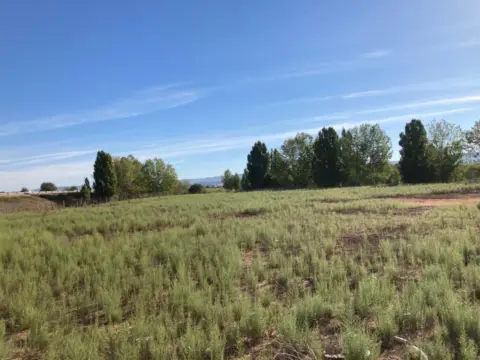 Terreno en Avenida Larona