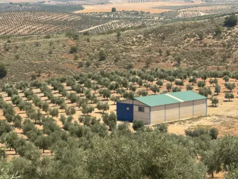 Finca rústica en Cacín