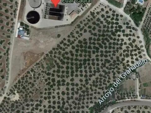 Terreno en Carretera Huertas de Alcantarilla