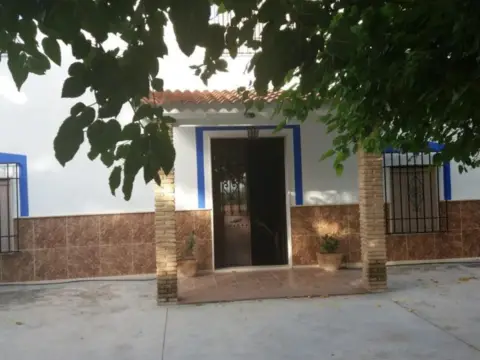 Terreno en Carretera Antigua de Montilla (Hermita La Esperanza)