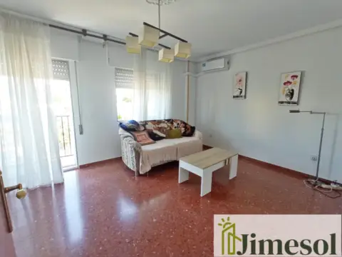 Piso en Avenida de Fernando Pallarés in Cabra · Cabra