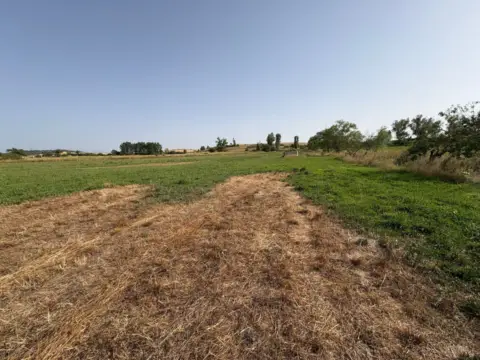 Terreno en Ciudad Rodrigo