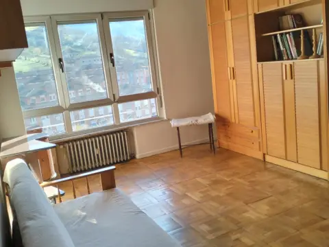 Piso en Avenida del Aramo