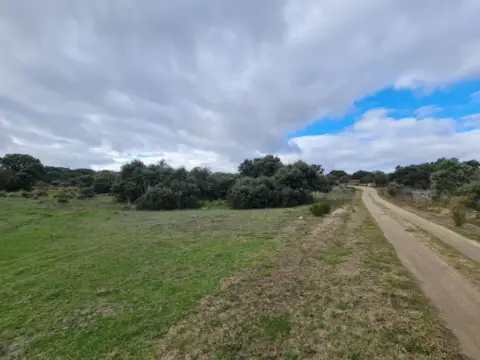 Finca rústica en Polígono Polígono 20 Parcela 1 La Viñuela. Pereruela (Zamor