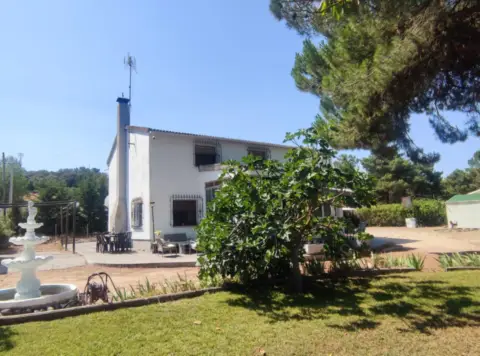 Finca rústica en Lugar de Bodegas Puente