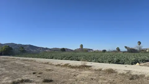 Terreno en calle Campillo