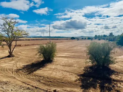 Terreno en calle de la Paca