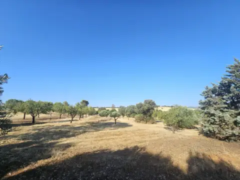 Chalet rústico en Área Rural-Valverde-Las Casas