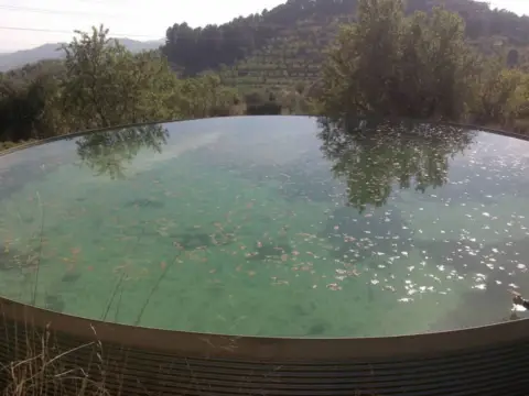 Terreno en Vilaplana