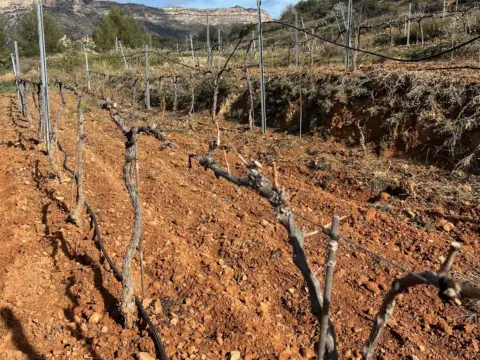 Finca rústica en Carretera Gratallops