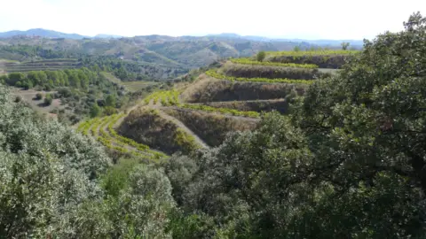 Finca rústica en calle Lloa