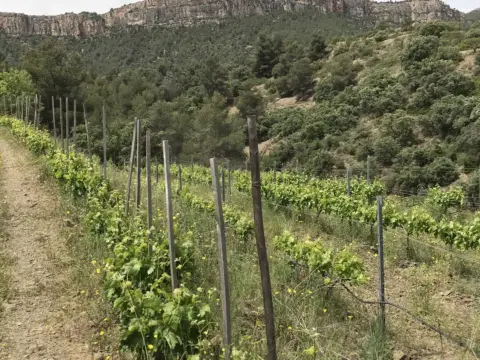 Finca rústica en calle Lloa