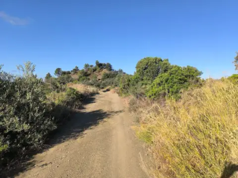 Finca rústica en calle Carretera Porrera - Torroja, nº 1