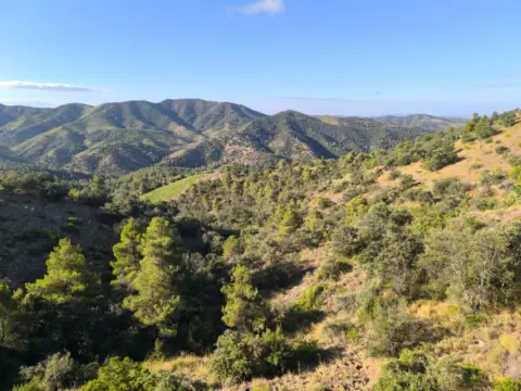 Finca rústica en calle Carretera Porrera - Torroja, nº 1