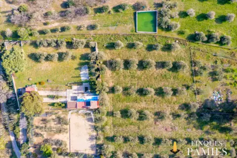 Finca rústica en Camí de Les Borges a Reus, 1