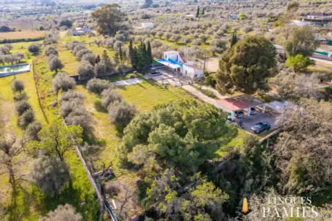 Finca rústica en Camí de Les Borges a Reus, 1