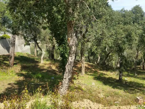 Terreno en Carrer d'Isidre Nonell