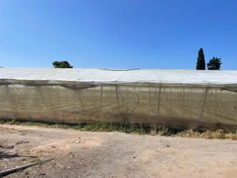 Finca rústica en Pueblo Nuevo